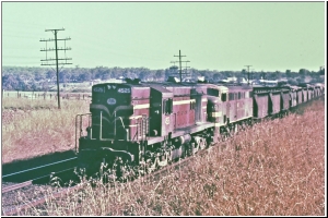 Menangle 4525+44xx.jpg